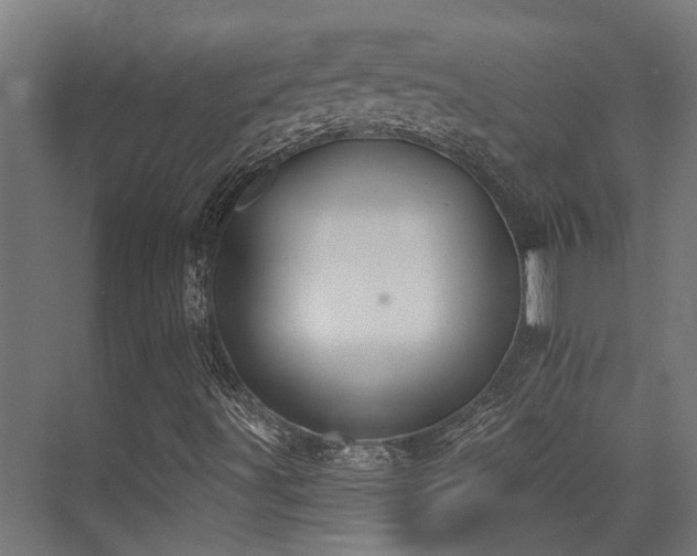 X0000075341491200609081110