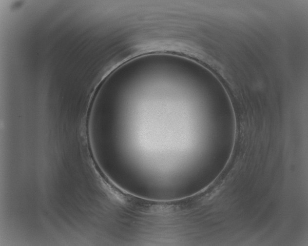 X0000075341521200609081110