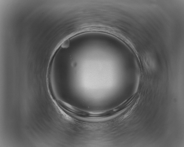 X0000075341533200609081110