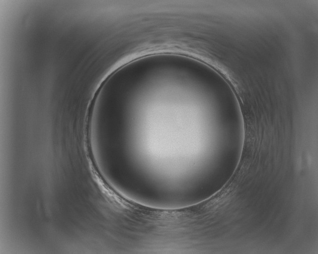 X0000075341534200609081110