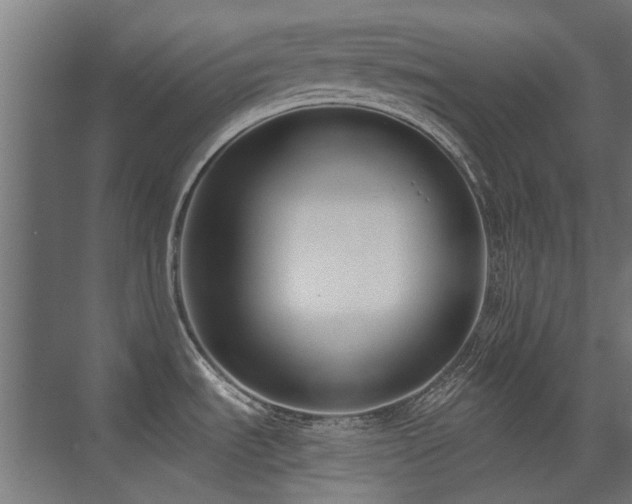 X0000075341535200609081110
