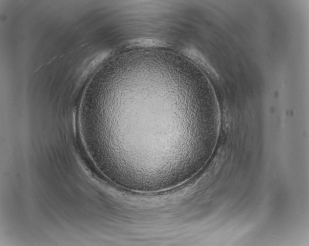 X0000075340014200609151523