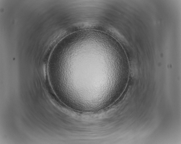 X0000075340022200609151523