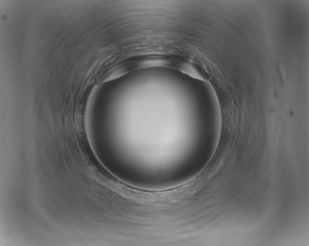 X0000075340035200609151522