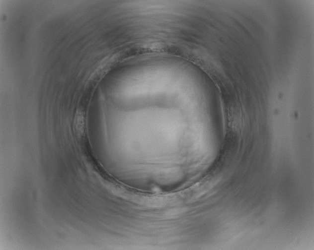 X0000075340036200609151522
