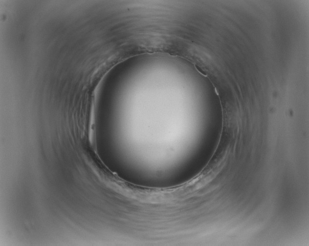 X0000075340040200609151522