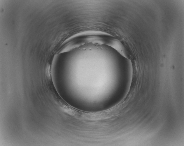 X0000075340041200609151522