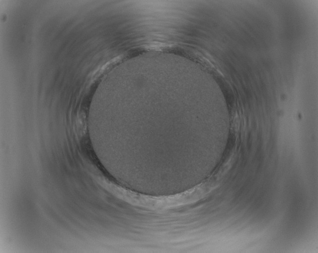 X0000075340043200609151522