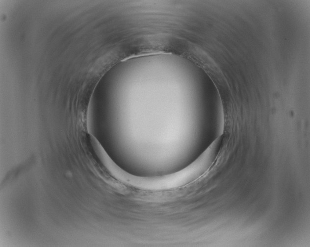 X0000075340045200609151522