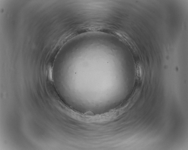 X0000075340046200609151522