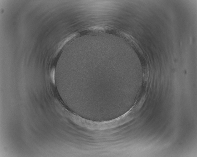 X0000075340047200609151522