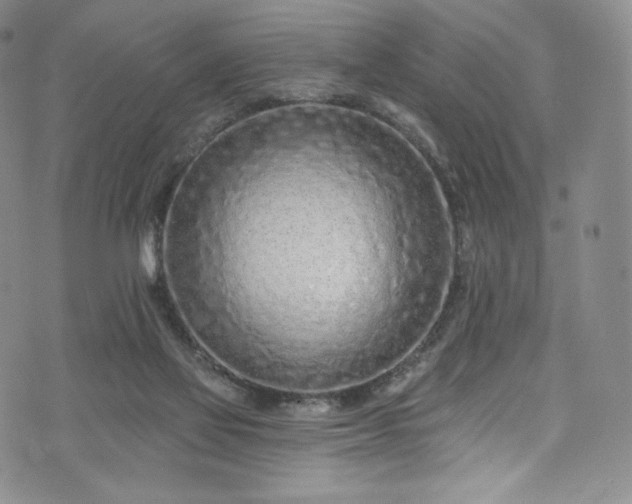 X0000075340069200609151522