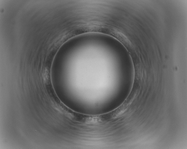 X0000075340077200609151522