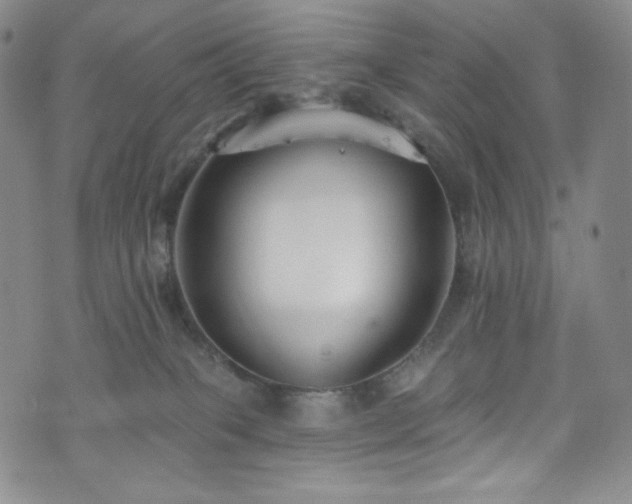 X0000075340085200609151522