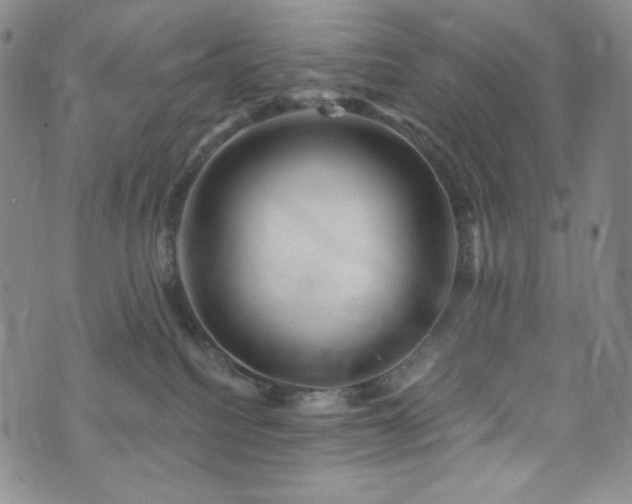 X0000075340088200609151522