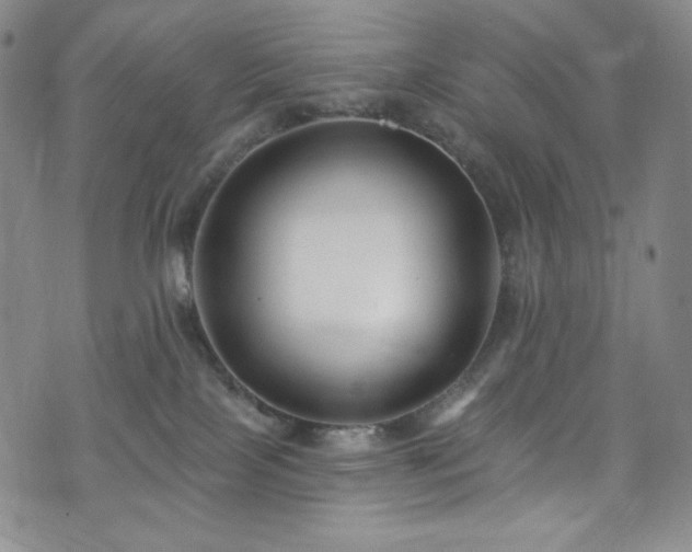 X0000075340089200609151522