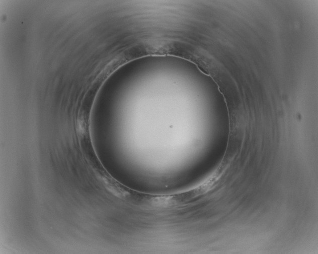 X0000075340090200609151522