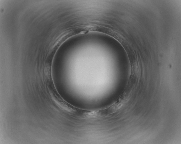 X0000075340092200609151522