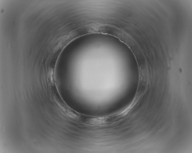 X0000075340094200609151522