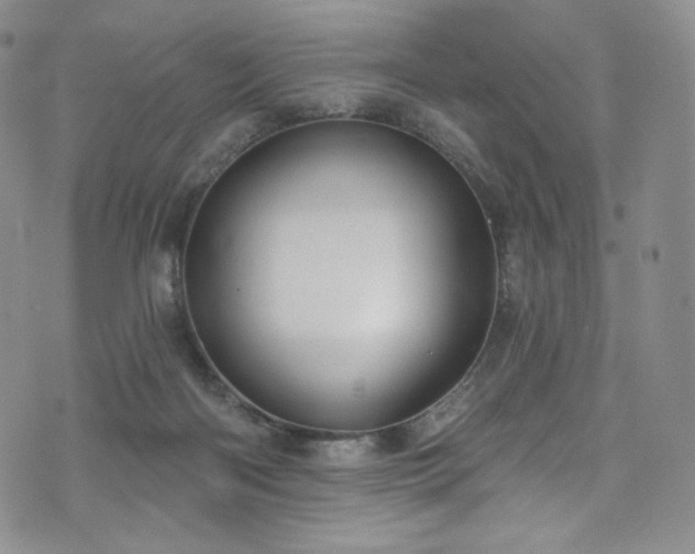 X0000075340122200609151521