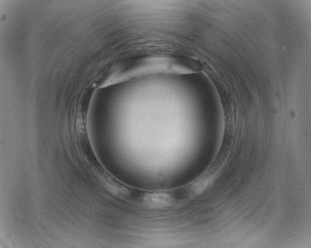 X0000075340137200609151521
