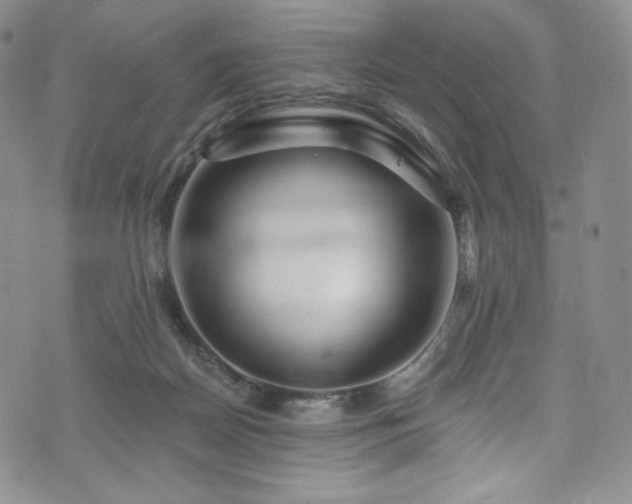 X0000075340170200609151520