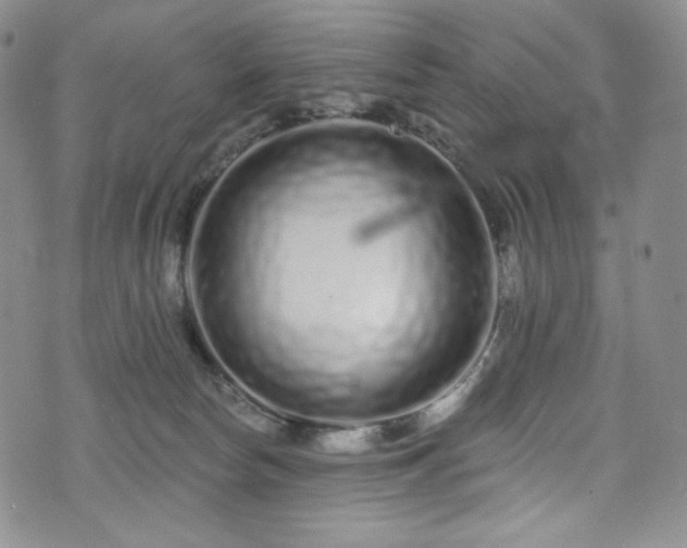 X0000075340178200609151520