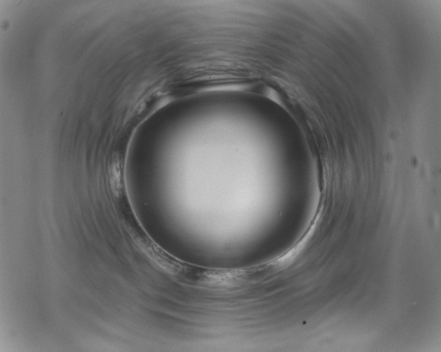 X0000075340190200609151520