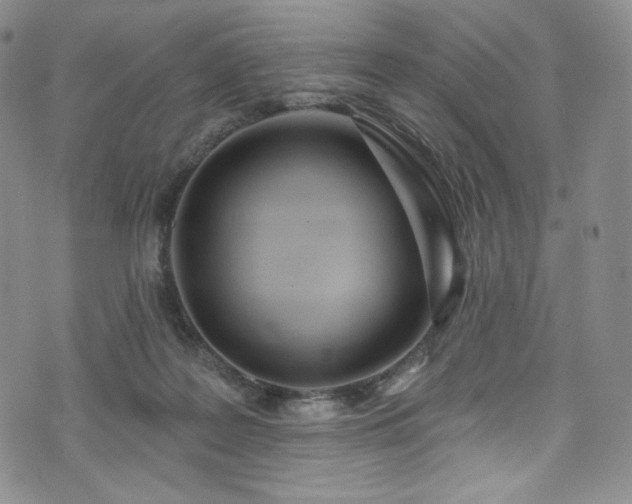 X0000075340219200609151519