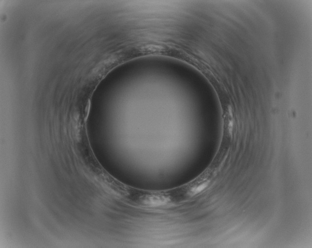 X0000075340223200609151519
