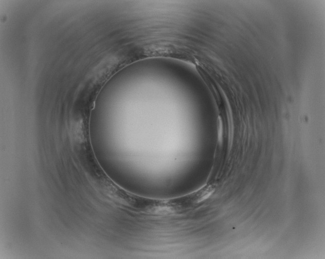 X0000075340224200609151519