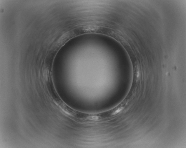 X0000075340227200609151519
