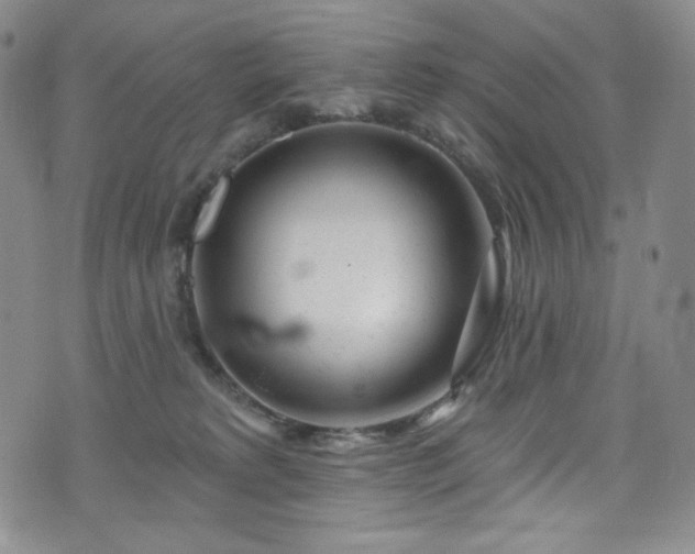 X0000075340229200609151519