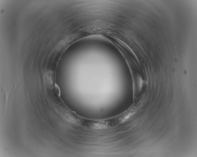 X0000075340232200609151519