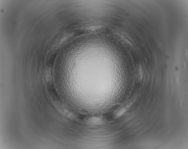 X0000075340236200609151519