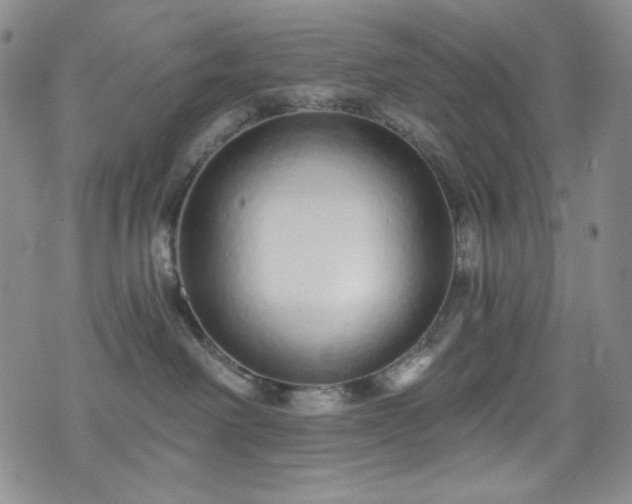 X0000075340238200609151519