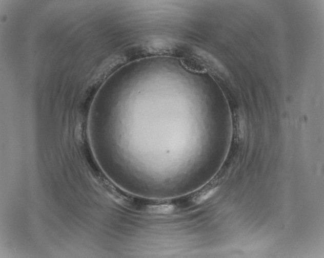 X0000075340266200609151519