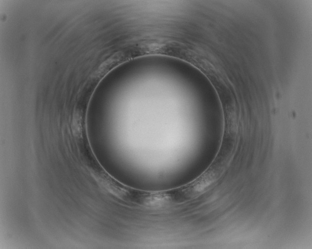 X0000075340274200609151519
