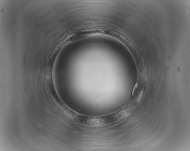 X0000075340277200609151519