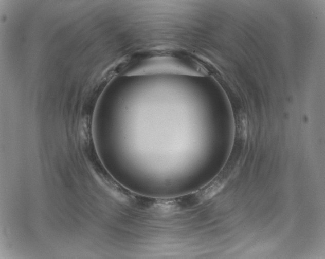 X0000075340280200609151519