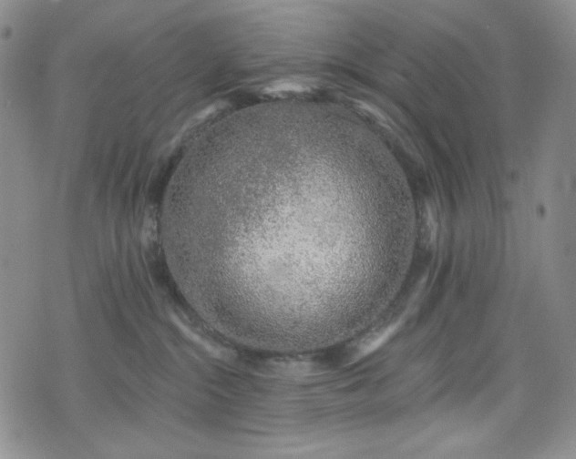X0000075340284200609151519