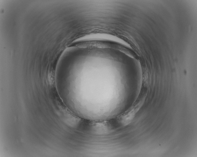 X0000075340285200609151519