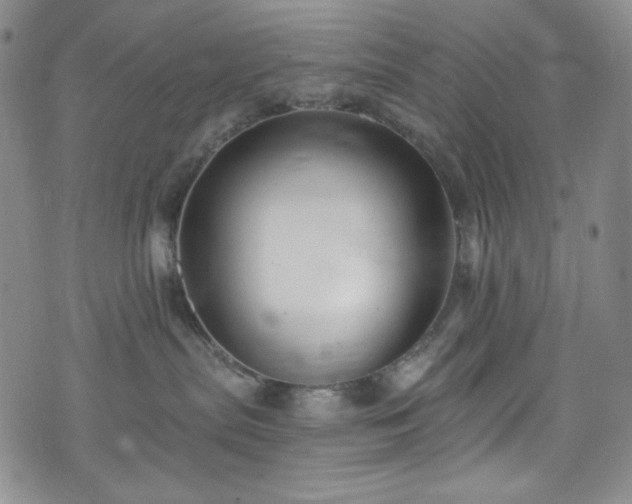 X0000075340287200609151519