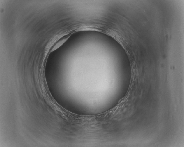 X0000075340289200609151518