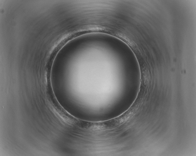 X0000075340350200609151517