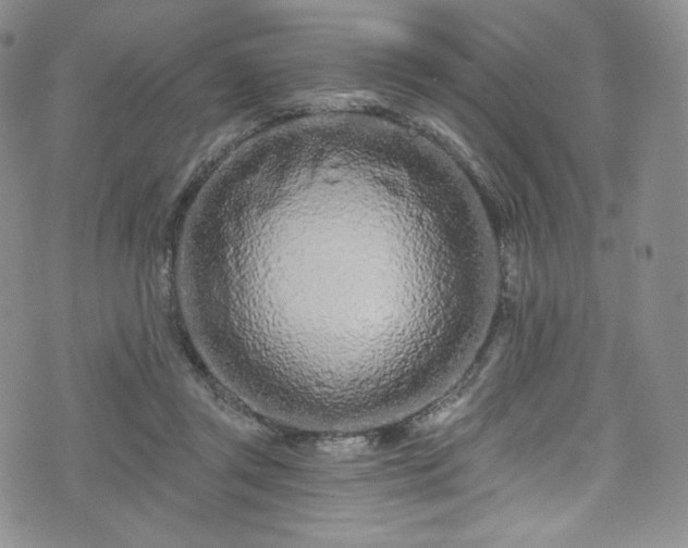 X0000075340357200609151517