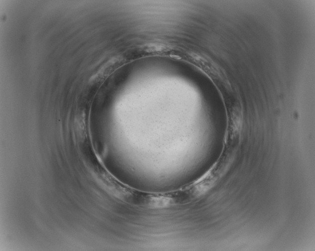 X0000075340376200609151517