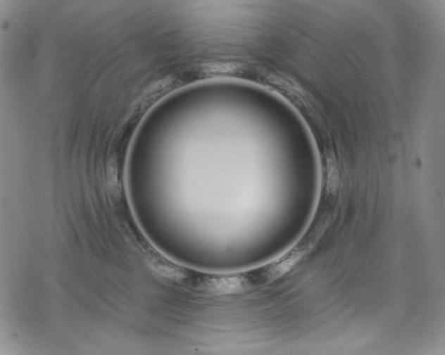 X0000075340377200609151517