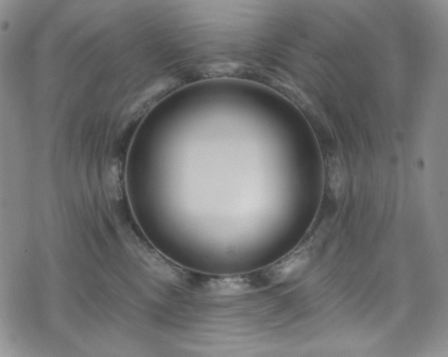 X0000075340378200609151517