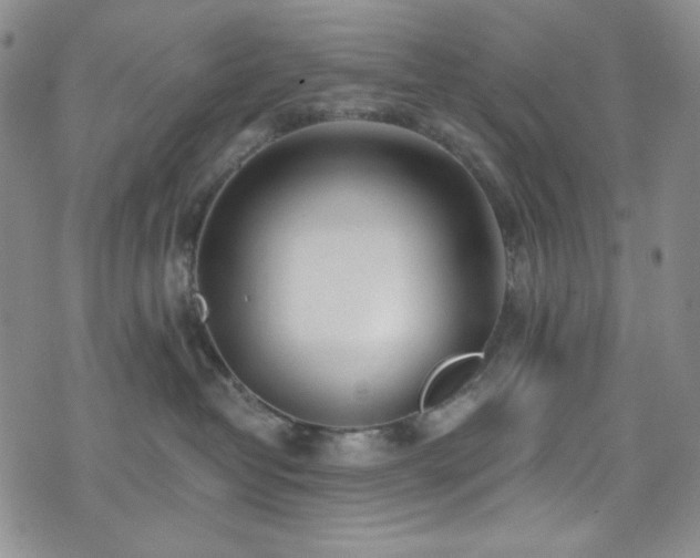 X0000075340382200609151517
